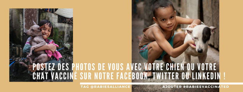 Défi des médias sociaux