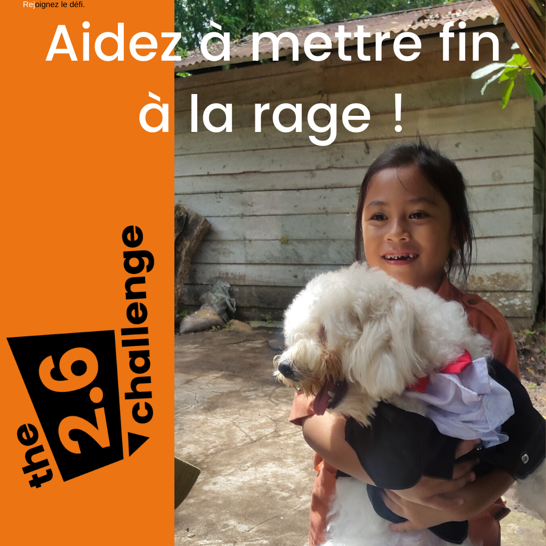 Aidez à sauver des enfants et des chiens comme celui-ci en participant au défi 2.6