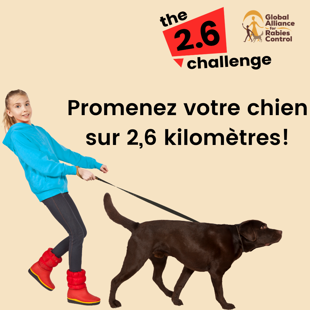 Promenez votre chien pour éliminer la rage!
