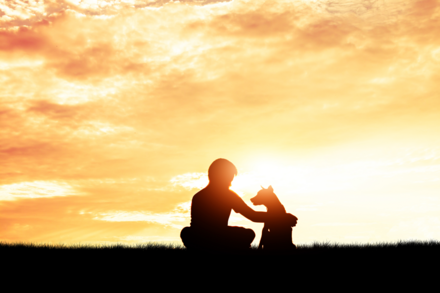 Dog and boy sunset silhouette