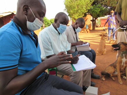 The Big Fix team captures rabies data using the GARC App (RVT tool).
