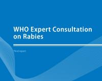 WHO Expert report 2018
