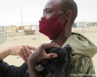 Community member holds his dog while it receives rabies vaccination. 