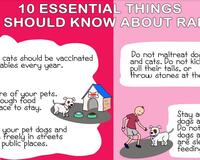 10 Facts About Rabies