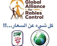 All About Rabies Presentation Arabic