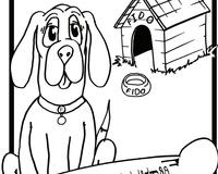 Be safe around dogs Kannada