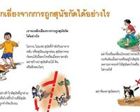 Be sensitive and kind to dogs Thai