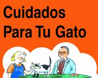Caring for your cat espanol