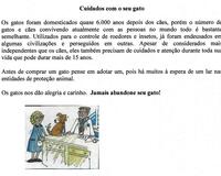 Caring for your dog portugues