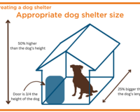 DWC Infographics
