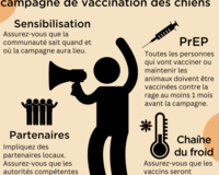 French Tips for doc vax