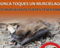 Never touch bat poster Teenagers Espanol