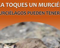 Never touch bat poster children Espanol