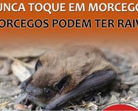 Never touch bat poster Teenagers Portugues