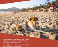 Rabies awareness for travelers posters