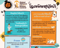 Rabies Poster (Thai)
