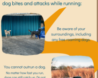 GARC Tips for Runners ENG