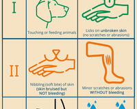 Quick reference guide to the WHO wound categories for rabies, by GARC.