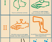 wound categories PT