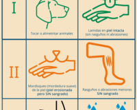 wound categories ES