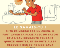 wound washing IG post French