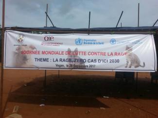 La rage, zero cas d'ici 2030