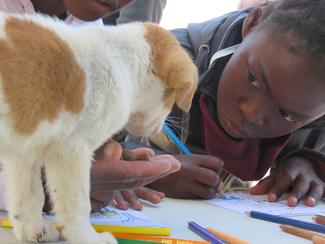 Have-a-Heart Namibia 2020 vaccination drive within Swakopmund's township