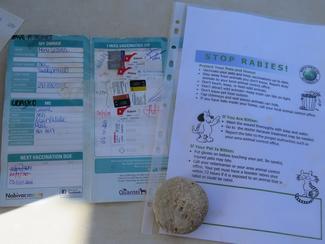 Have-a-Heart Namibia 2020 vaccination drive within Swakopmund's township