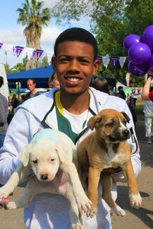 Pet owner