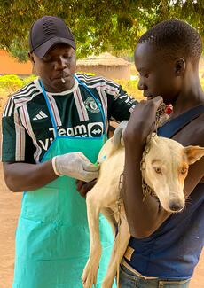 Dog vaccination against rabies by Dr. LOKU MOSES SAMUEL