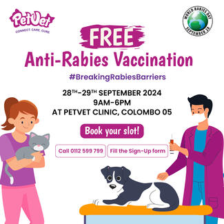 Free ARV Program