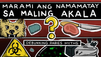 Debunking rabies myths