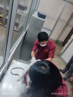 Rabies vaccination