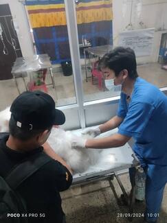 Rabies vaccination and registration