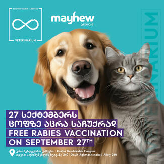 Dog and vat on blue background with Mayhew Georgia and Veterinarium logos. Free Vaccination event Friday 27 Sept 2024