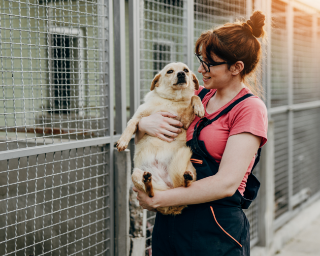 Kerenza of GARC holding a dog