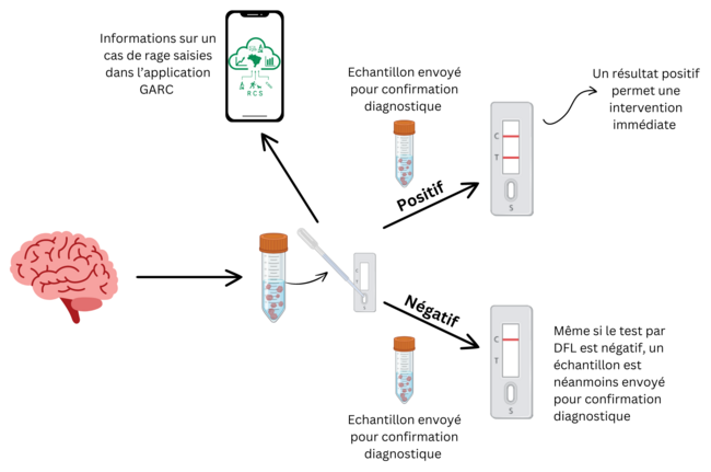 RAIDER process diagram, GARC