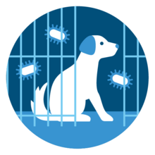 Biting Animal Quarantine (BAQ) icon