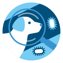 Rabies Case Surveillance (RCS) icon