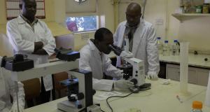 Lab training