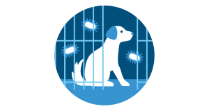Biting Animal Quarantine (BAQ) icon