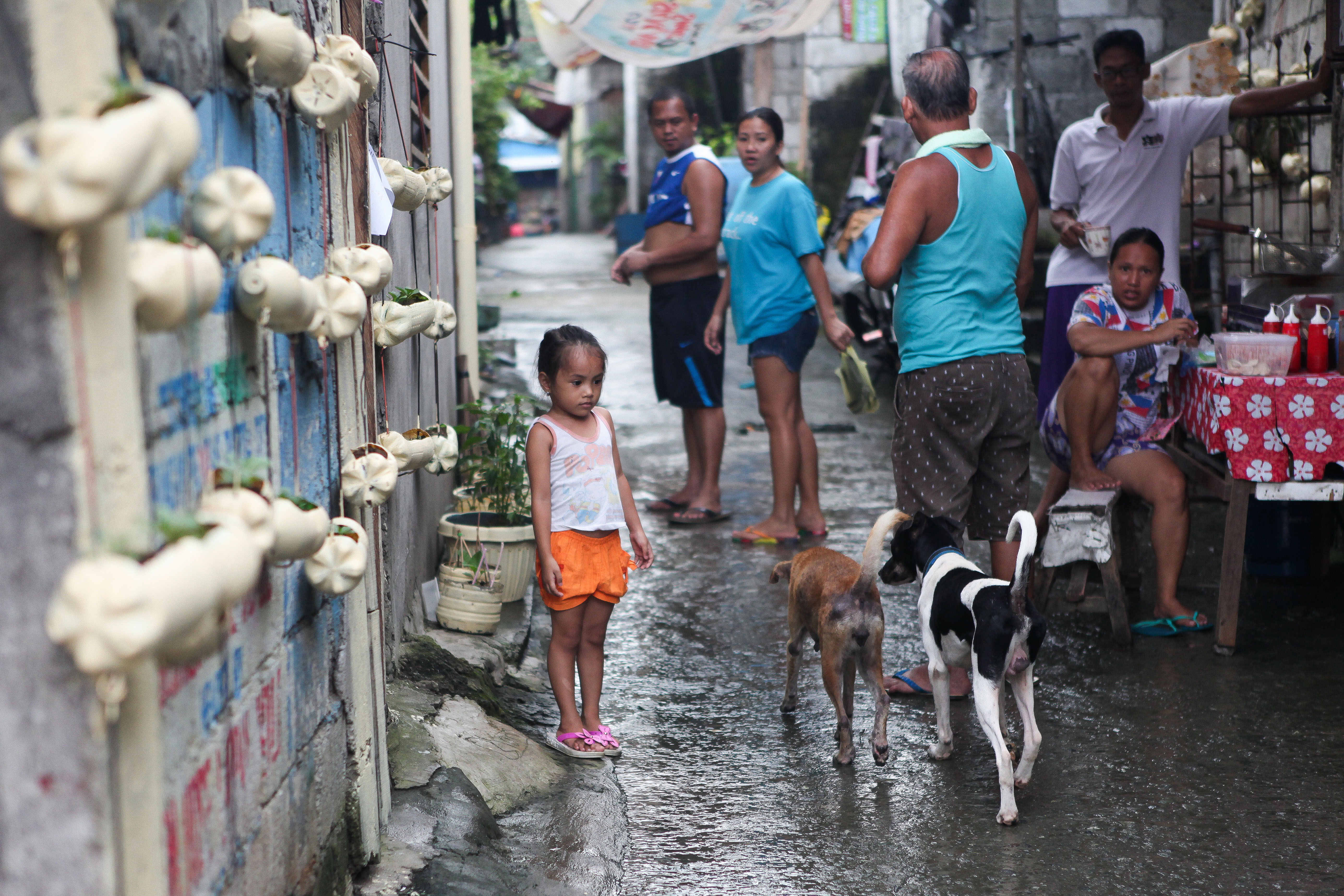 A small child stops and "stands like a tree" as two strange dogs walk by. Ideal bite prevention behaviour taught by GARC for rabies elimination.
