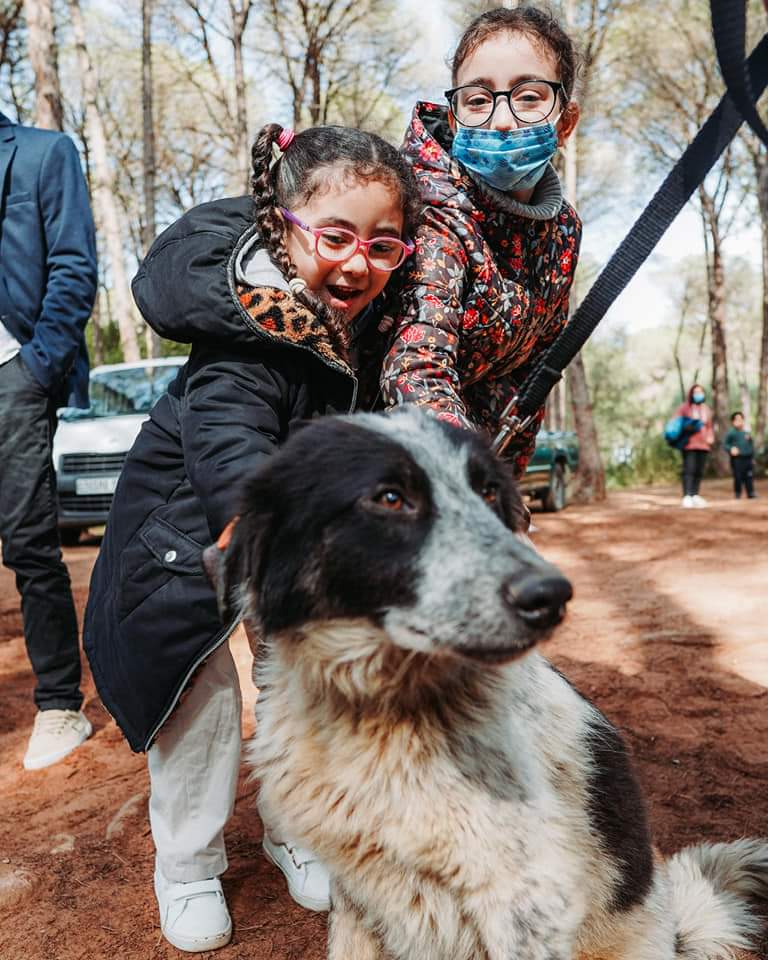 Some children enjoy the moment as they get the chance to pet a dog on the Eco Dog Walk. 