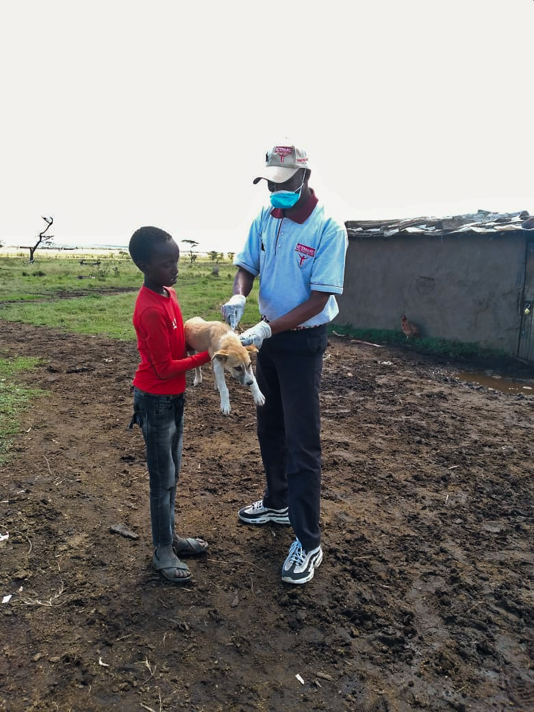A vaccinator vaccinates a small dog as a child holds it in their arms. 