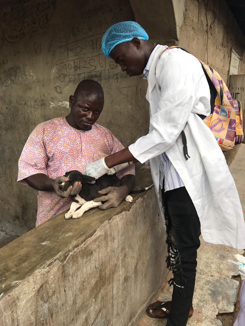 A vet vaccinates a dog free of charge in celebration of GARCs World Rabies Day 2020.