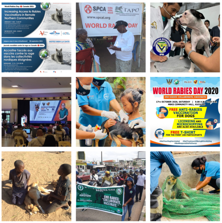 World Rabies Day 2021 event collage